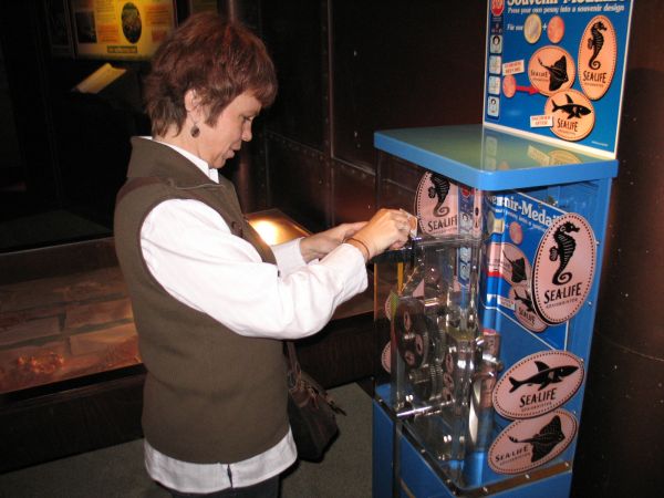 Wir basteln uns ein Souvenier: Laden �